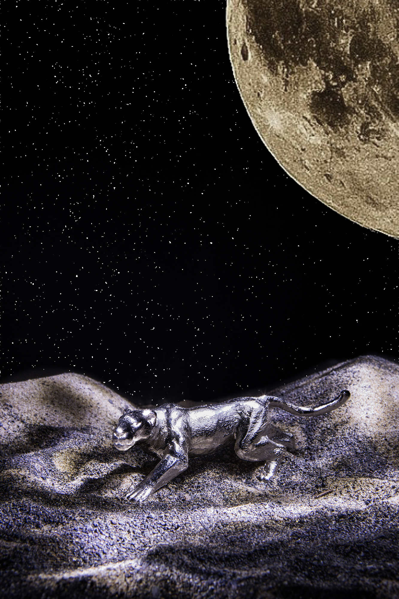 Slide Image